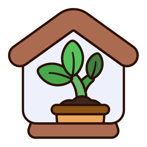 Indoor Plants